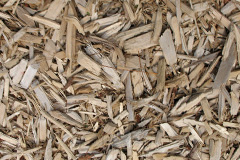biomass boilers Little Arowry